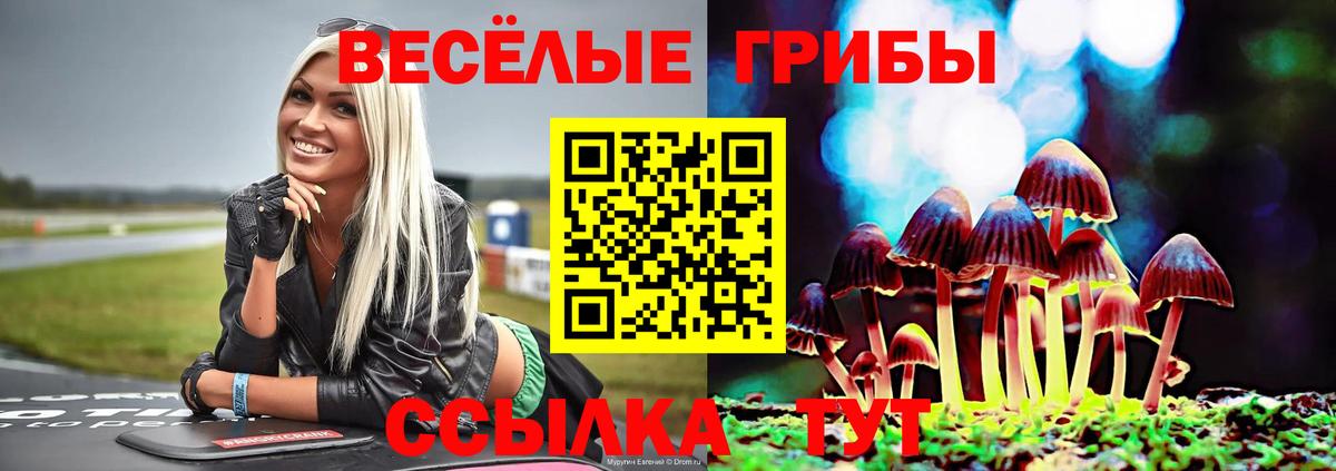 Псилоцибиновые грибы мухоморы  закладка  Трёхгорный  Вход с VPN 