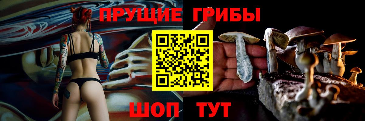 Галлюциногенные грибы прущие грибы Трёхгорный
